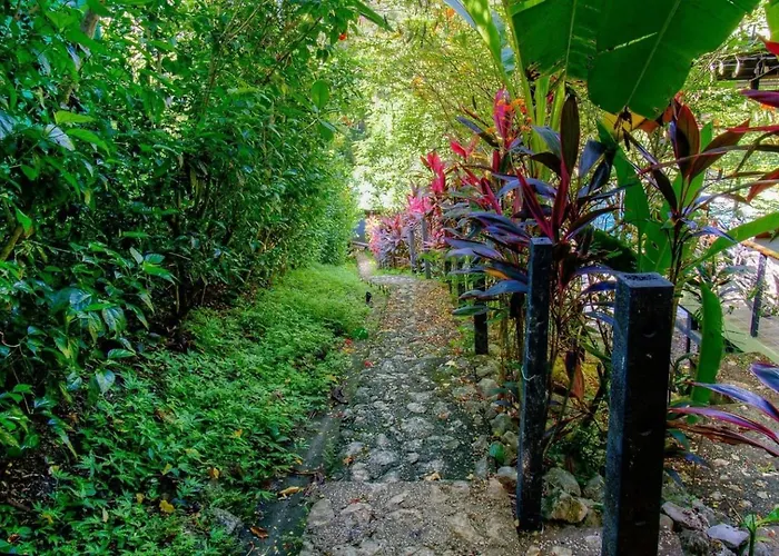 Casa - And Jungle Oasis Ferienhaus