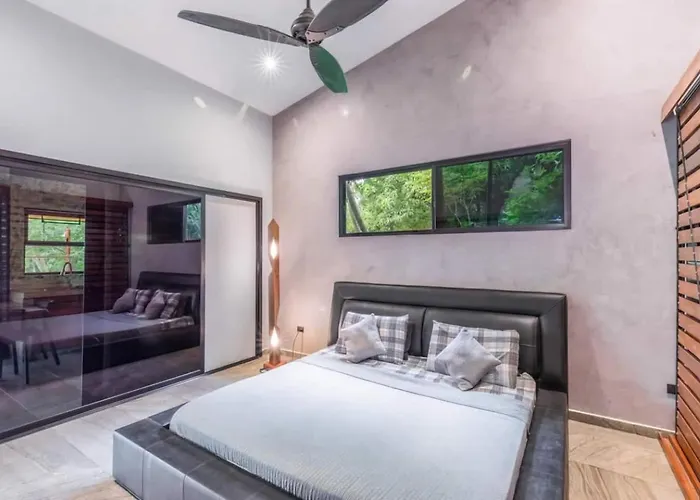 Casa - And Jungle Oasis