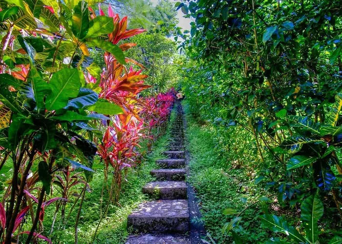 Casa - And Jungle Oasis * Nosara